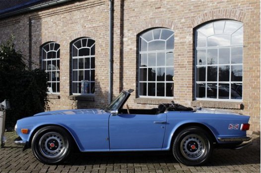 Triumph TR6 - Moss Supercharger Uniek en zeer mooi Euro bumpers, French Blue - 1