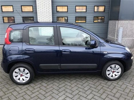 Fiat Panda - 1.2 Edizione Cool - 1