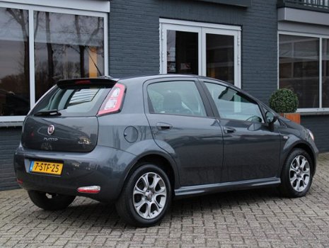 Fiat Punto Evo - 0.9 TwinAir Edizione Cool, Bleu&Me, Lichtmetalen velgen, Airco, 5-Deurs - 1