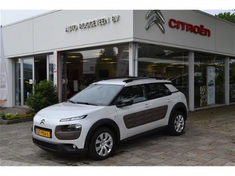 Citroën C4 Cactus - 1.2 PureTech 110pk Business 4 seizoenen band - 1