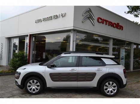 Citroën C4 Cactus - 1.2 PureTech 110pk Business 4 seizoenen band - 1