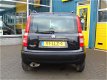 Fiat Panda - 1.2 Edizione Cool - 1 - Thumbnail