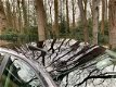 Audi A3 - 1.6 TDI Attraction Pro Line Opendak-Nieuwe banden - 1 - Thumbnail