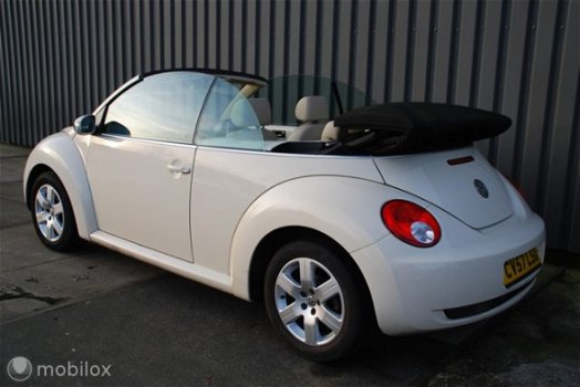 Volkswagen New Beetle Cabriolet - 1.6 Highline - 1