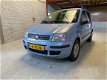 Fiat Panda - 1.2 Edizione Cool - 1 - Thumbnail