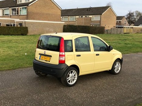 Fiat Panda - 1.2 ACTUAL - 1