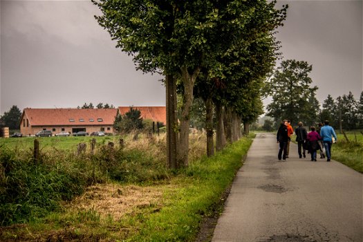 Vakantiehoeve Berckelaer : verblijf voor grote groepen - 8