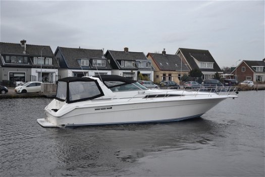 Searay 420 - 2