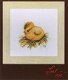 AANBIEDING MARJOLEIN BASTIN BORDUURPAKKET, CHICK 384 - 1 - Thumbnail