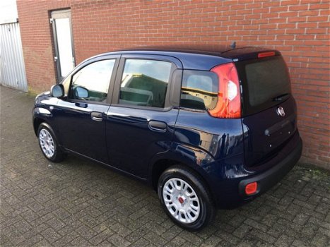 Fiat Panda - 1.2 Easy Airco, Bluetooth, Parkeersens. 5 jr garantie Nieuw - 1