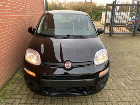 Fiat Panda - 1.2 Lounge Airco, Bluetooth, LM-velgen, Nieuw 5 jr garantie - 1