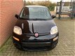 Fiat Panda - 1.2 Lounge Airco, Bluetooth, LM-velgen, Nieuw 5 jr garantie - 1 - Thumbnail