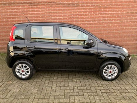 Fiat Panda - 1.2 Lounge Airco, Bluetooth, LM-velgen, Nieuw 5 jr garantie - 1