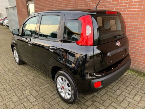 Fiat Panda - 1.2 Lounge Airco, Bluetooth, LM-velgen, Nieuw 5 jr garantie - 1