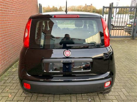 Fiat Panda - 1.2 Lounge Airco, Bluetooth, LM-velgen, Nieuw 5 jr garantie - 1