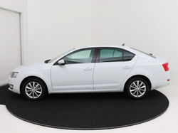 Skoda Octavia - 1.0 TSI DSG-7 Greentech Ambition Business