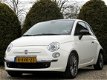 Fiat 500 - 0.9 TwinAir Turbo Cult / Leder / Xenon / Ecc - 1 - Thumbnail