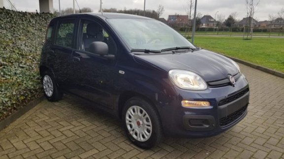 Fiat Panda - 1.2 Easy - 1