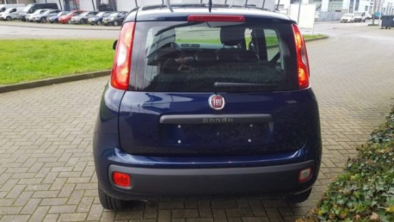 Fiat Panda - 1.2 Easy - 1