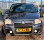 Fiat Panda - 1.4 16V Sport 2007 APK 12-2020 Hoge Zit Dealer onderhouden - 1 - Thumbnail