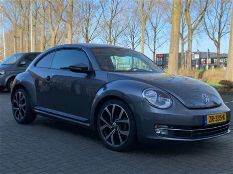 Volkswagen Beetle - Sport nette staat - 1