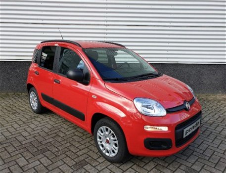 Fiat Panda - 1.2 Easy *NIEUW* 5 jr.GARANTIE - 1