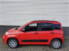 Fiat Panda - 1.2 Easy *NIEUW* 5 jr.GARANTIE