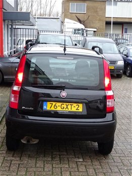 Fiat Panda - 1.2 Edizione Cool - 1