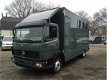 Mercedes-Benz Ecoliner - Chassis Ecoliner 814 Paardenwagen - 1 - Thumbnail