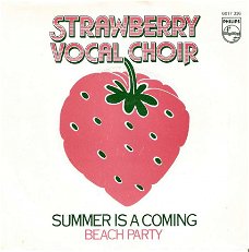 Singel Strawberry vocal choir - Summer is a coming / Beach party