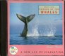 Gregor Theelen ‎– Music For Friends Of The Whales (CD) - 1 - Thumbnail