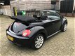 Volkswagen New Beetle Cabriolet - 1.6 Highline - 1 - Thumbnail