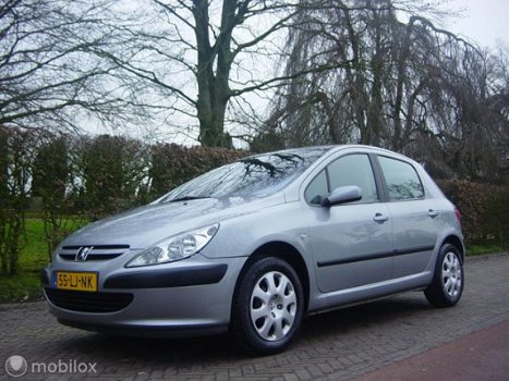 Peugeot 307 - 1.6 ( 126.394 KM ) Bwj 2003 APK 03-2021 PLAATJE - 1