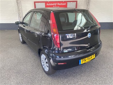 Fiat Punto - 1.2 ACTIVE VERKOCHT - 1