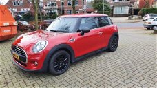 Mini Mini One