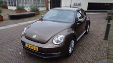 Volkswagen Beetle - 1.2 TSI 77KW BMT DESIGN/RIJKLAAR PRIJS