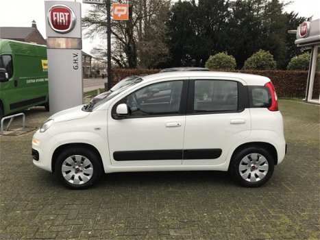 Fiat Panda - TwinAir Turbo 80PK Edizione Cool - 1