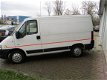 Peugeot Boxer - 290C 2.8 HDI - 1 - Thumbnail