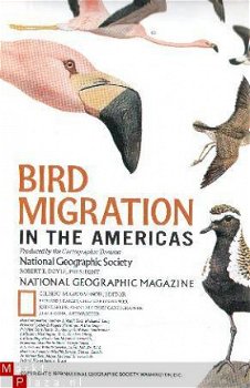 landkaart NG Americas Bird Migration - 1