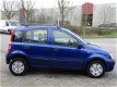 Fiat Panda - 1.2 Edizione Cool - AIRCO - VOL ONDERHOUD ERBIJ - ELEK RAMEN - 5 DEURS - USB/AUX - 1 - Thumbnail