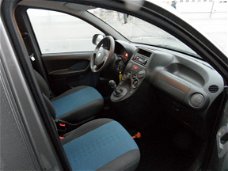 Fiat Panda - 1.2 Edizione Cool