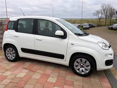 Fiat Panda - 0.9 TwinAir Edizione Cool - 1