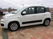 Fiat Panda - 0.9 TwinAir Edizione Cool - 1 - Thumbnail