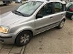 Fiat Panda - 1.2 Dynamic - 1 - Thumbnail