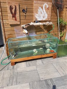 Te koop aangeboden complete koivijver Mooie grote aquarium