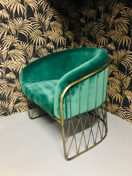 Fauteuil in verschillende kleuren - 1