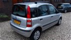 Fiat Panda - 1.2 Dynamic - 1 - Thumbnail