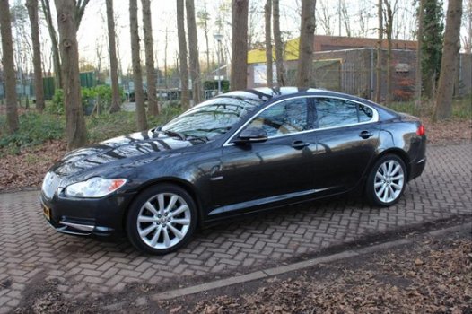 Jaguar XF - 3.0D V6 Premium Luxury - 1