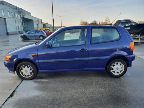 Volkswagen Polo - 1.6 55kw *stuurbekrachtiging - 1