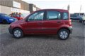 Fiat Panda - 1.1 Actual , 5 DEURS, VOLLEDIG ONDERHOUDEN, RECENT NIEUWE DISTRIBUTIE EN BEURT GEHAD , - 1 - Thumbnail